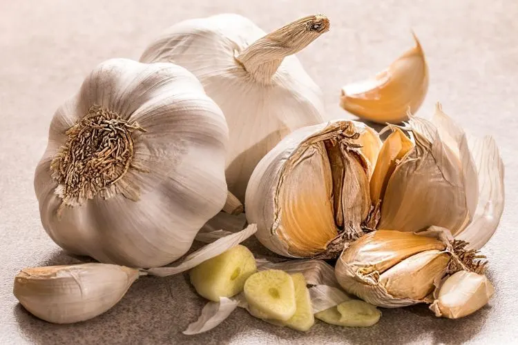 All About Garlic + Spanish Al Ajillo Recipes 3 All About Garlic Spanish Al Ajillo Recipes1