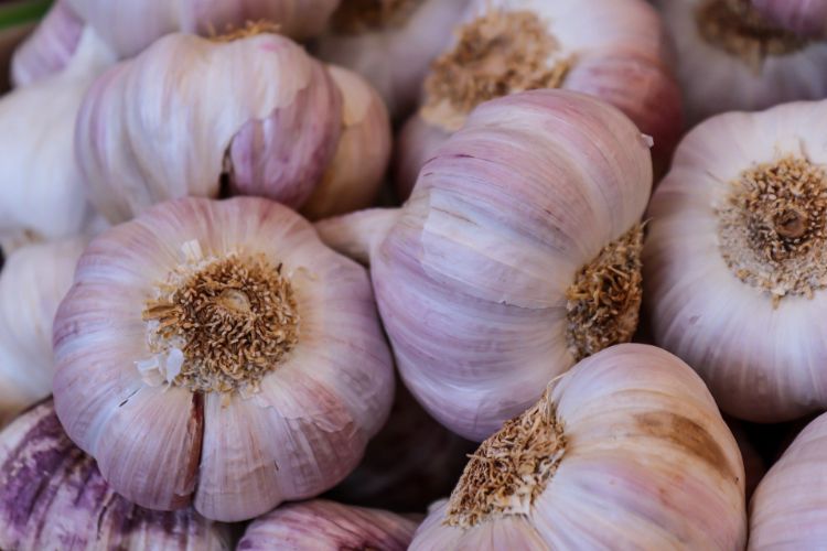 Tutto sull'aglio spagnolo Al Ajillo Ricette1