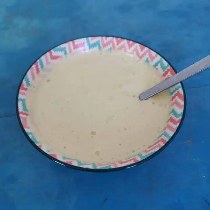 Delicious Spanish Homemade Mayonnaise Recipe