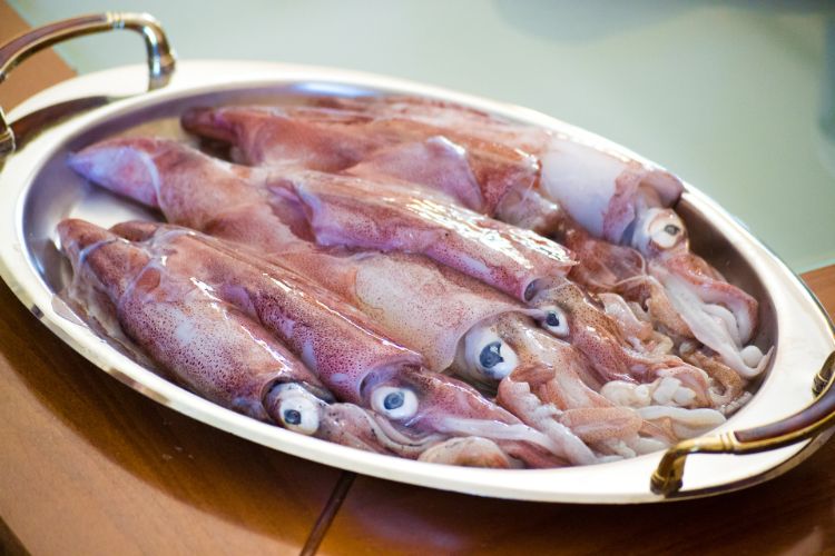 Was sind Calamari-Tintenfische1