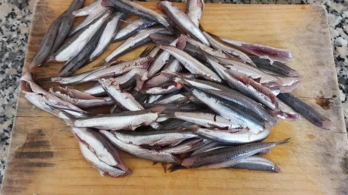 Spanish Fried Anchovies Recipe (Boquerones Fritos Españoles)